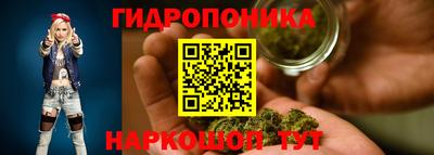 каннабис Кингисепп