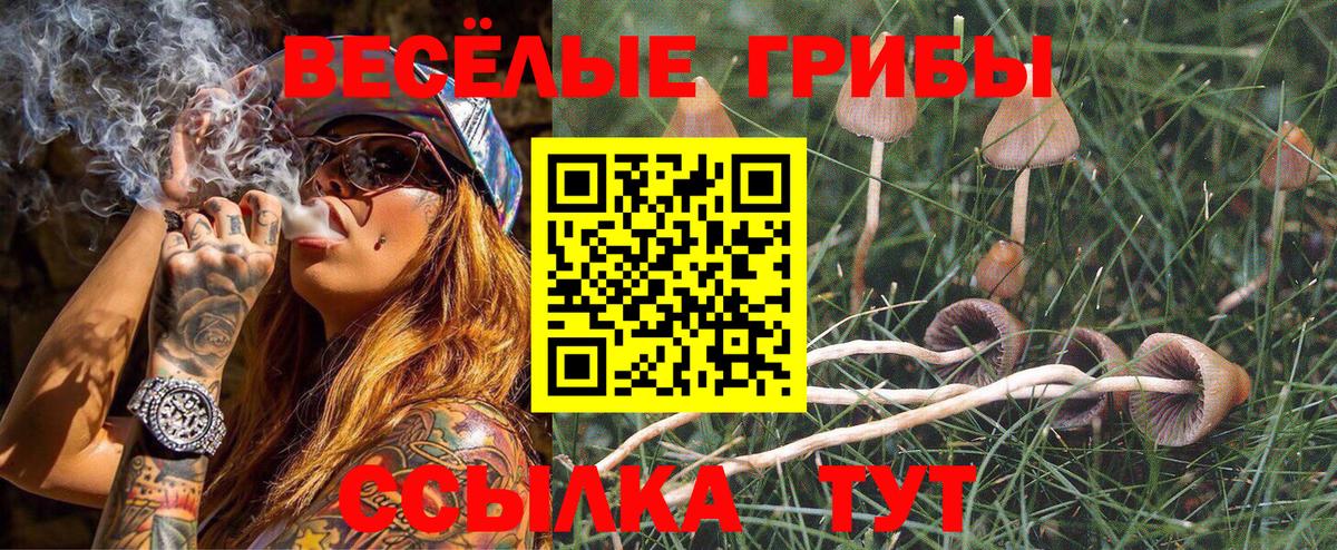 Псилоцибиновые грибы ЛСД Фролово